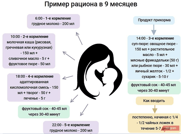 ratsion-v-9-mesyatsev
