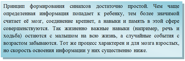 formirovanie-sinapsov